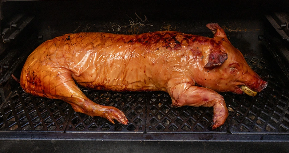einde heel varken op de barbecue whole hog bbq marc devleesboerderij
