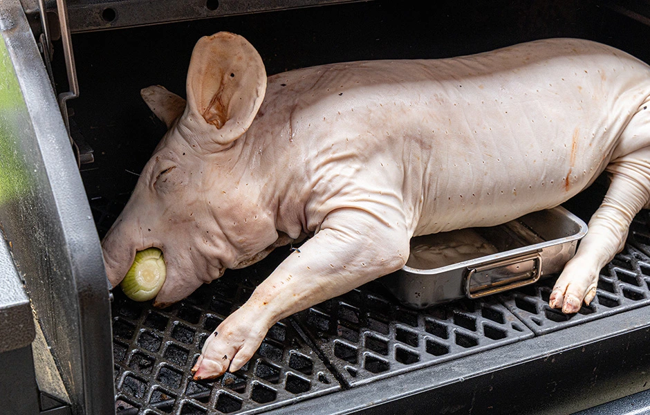 vlees heel varken op de barbecue whole hog bbq marc devleesboerderij